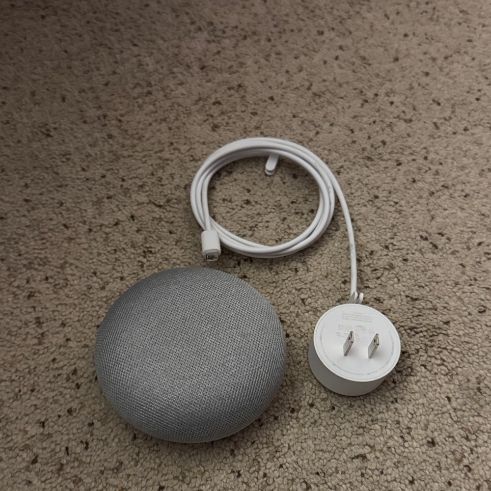 Google Gray Smart Speaker with White Charger